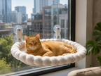 Hamac Chat | SunnyNest™