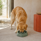 Gamelle Anti-Gloutton | SlowBowl™