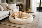 Coussin confort Chien&Chat | MPCompagnon