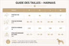 Harnais de Balade pour Chien