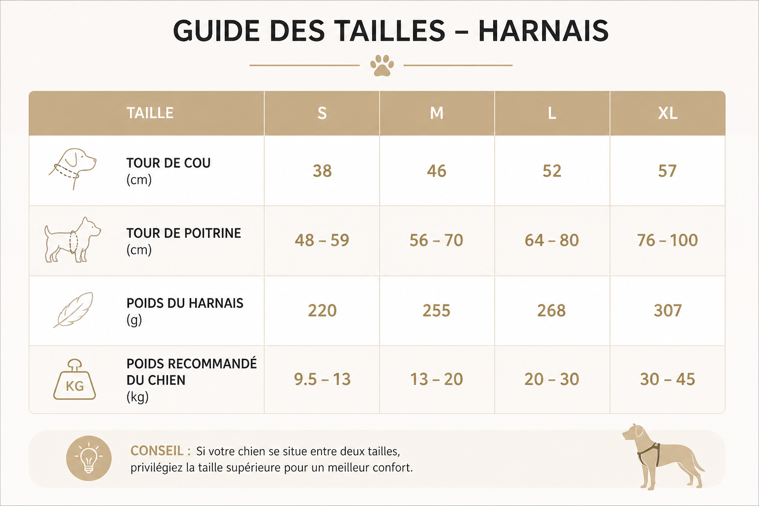 Harnais de Balade pour Chien